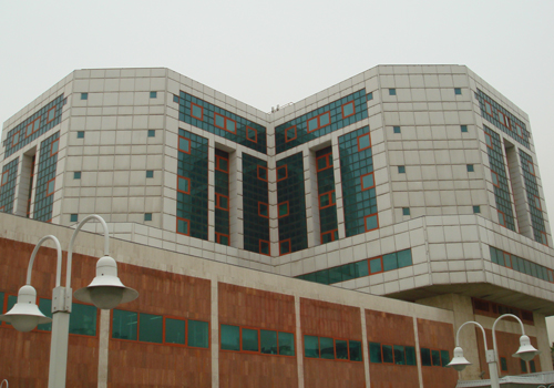 Tehran Heart Center with 500 Beds (Tehran)